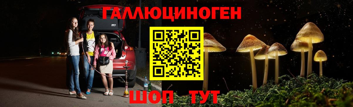 Ленинск-Кузнецкий  Галлюциногенные грибы прущие грибы  Вход с VPN 